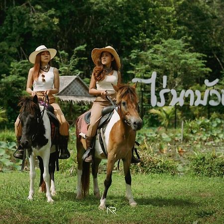 ไร่นาบัวหลวง คาเฟ่ & ฟาร์มสเตย์ Raina Bualuang Cafe & Farm Stay Ban Na No Eksteriør bilde