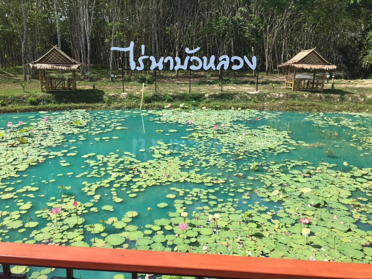 ไร่นาบัวหลวง คาเฟ่ & ฟาร์มสเตย์ Raina Bualuang Cafe & Farm Stay Ban Na No Eksteriør bilde