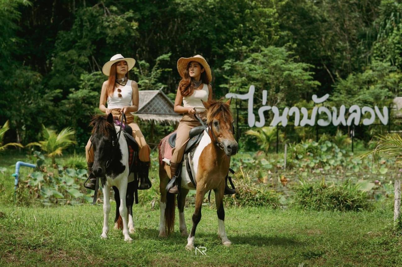 ไร่นาบัวหลวง คาเฟ่ & ฟาร์มสเตย์ Raina Bualuang Cafe & Farm Stay Ban Na No Eksteriør bilde