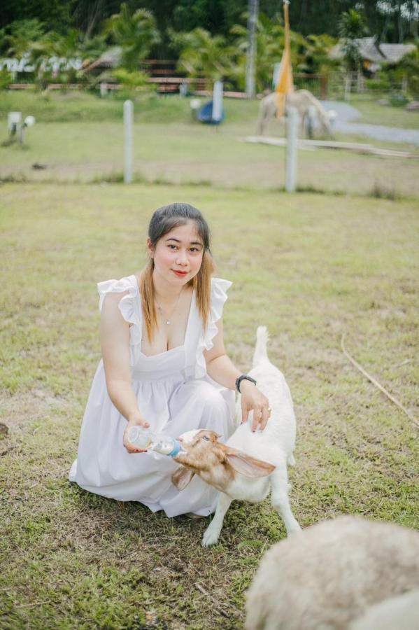 ไร่นาบัวหลวง คาเฟ่ & ฟาร์มสเตย์ Raina Bualuang Cafe & Farm Stay Ban Na No Eksteriør bilde