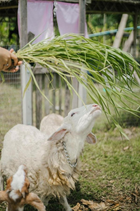 ไร่นาบัวหลวง คาเฟ่ & ฟาร์มสเตย์ Raina Bualuang Cafe & Farm Stay Ban Na No Eksteriør bilde