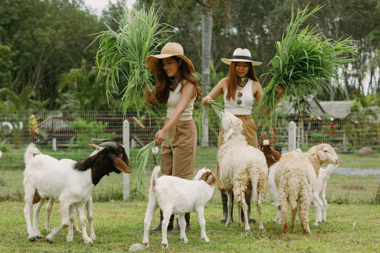 ไร่นาบัวหลวง คาเฟ่ & ฟาร์มสเตย์ Raina Bualuang Cafe & Farm Stay Ban Na No Eksteriør bilde